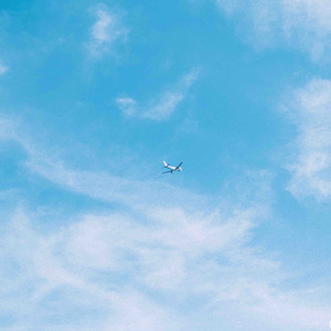 挥不走的萤火（Cover）