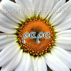 Papa