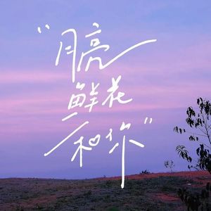 月亮,鲜花,和你