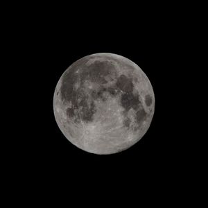 晚霞中的红蜻蜓