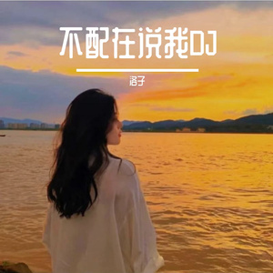 不配说爱我DJ