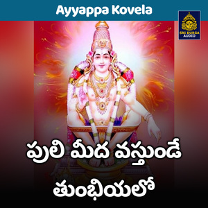 Puli meeda vastunde tumbhiyalo (Ayyappa Kovela)
