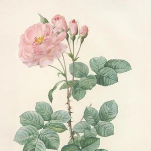 Embracing the whimsy