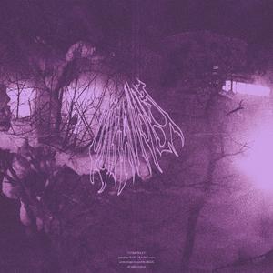 ＵＬＴＲＡＶＩＯＬＥＴJuly26Export.V2