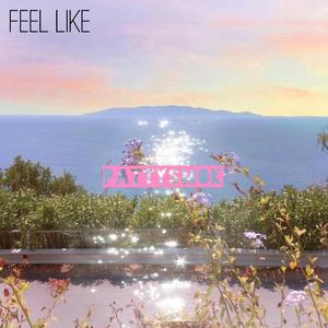 Feel Like