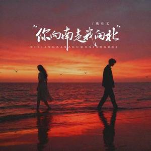 你向南走我向北（DJ阿尼版）