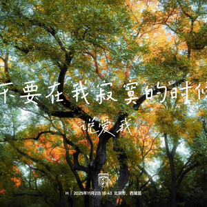 不要在我寂寞的时候说爱我