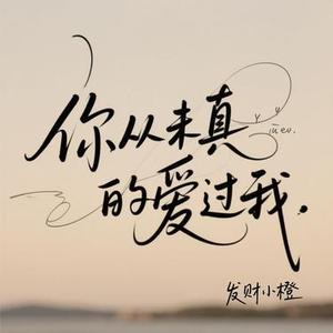 你从未真的爱过我