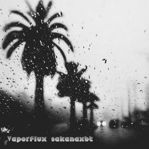 Vaporflux