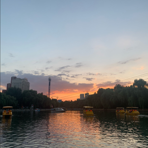 《八十八分频率》