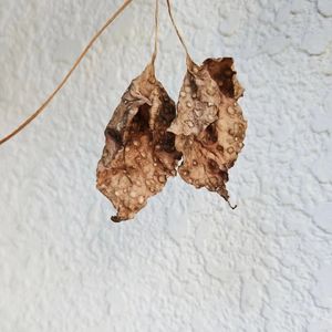 画一片星空|原创钢琴曲|醒不来的梦 (催眠曲五分钟入睡|宇宙全息 3 D 音效|阿尔法脑波)