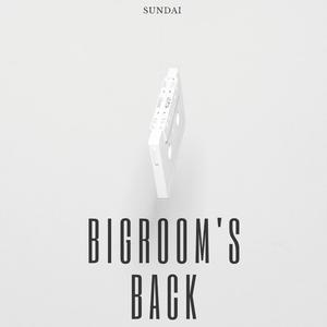 Bigrooms's Back