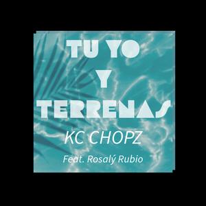 TU YO Y TERRENAS (feat. Rosaly Rubio) (Radio Edit)