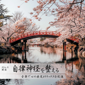 音楽療法のハーモニーで整う夜