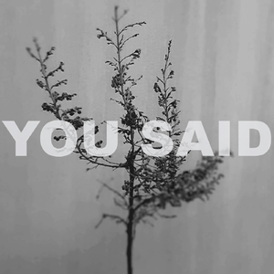 You Said