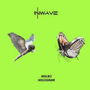 Holografica (Original Mix)