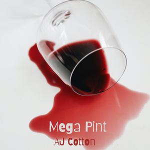 Mega Pint