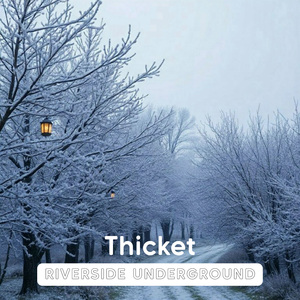 Thicket