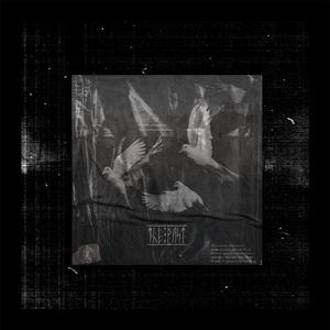 往日（THE PAST）