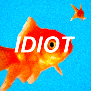 idiot