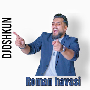 Roman havasi