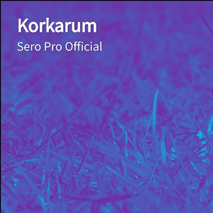 Korkarum