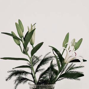 即使生生不见 也要你岁岁平安