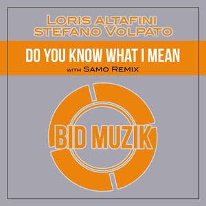 Do You Know What I Mean (Samo Remix)