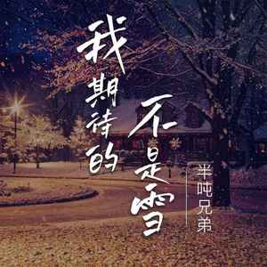 我期待的不是雪 (烟嗓版)