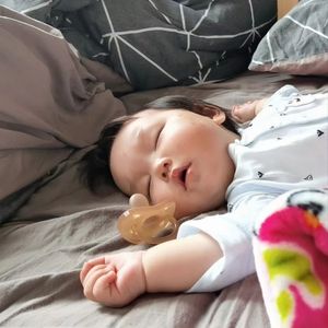 少先队的好少年