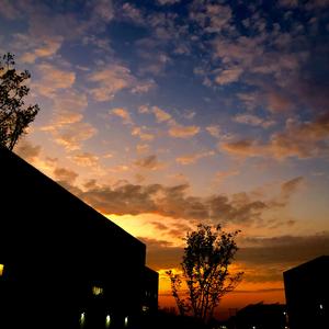 再见吧，喵小姐