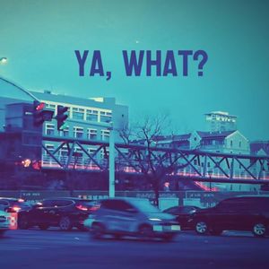 Seoul Sick（首尔病）