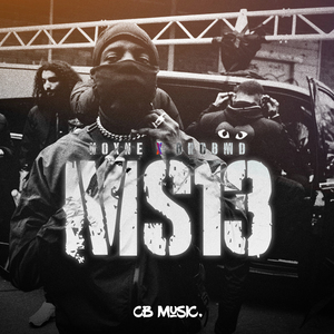 Ms13