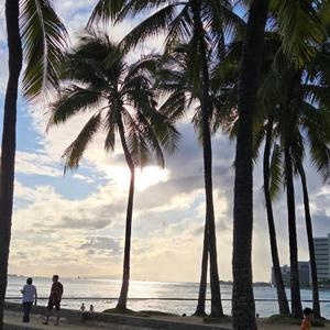 希望の光と大いなる太陽(World Peace Song)