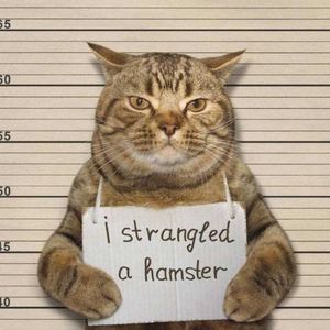 Freestyle time(prod.CarFlavor)