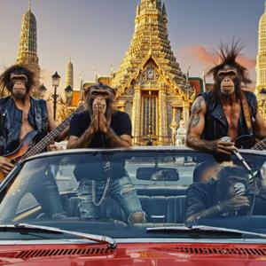 ไม่มีสัญญาณ