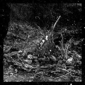 Zaman (feat. Evrim Özşuca, Burak Küçük & Tuna Sil) (Live at Binbirdirek)