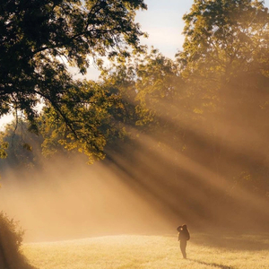 84你是我最珍贵的礼物