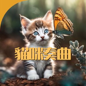 睡不著的時候必聽的