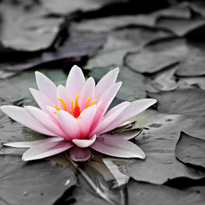 Obsessed with You X All About Him