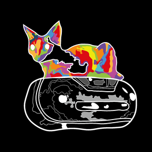 Сельские Панки