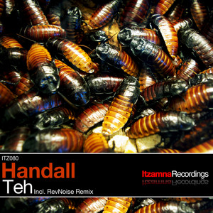 Teh (Original Mix)