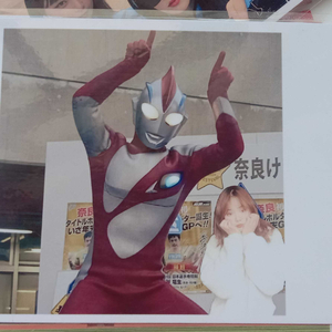 入戏太深.（是我入戏太深 结局却是一个人）