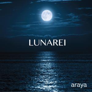 Araya (meditation)