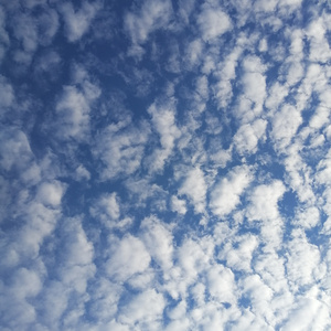 天神也原谅了你