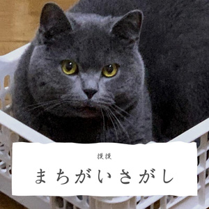 まちがいさがし