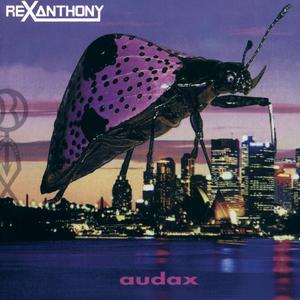 Drink & *** (Without XS)