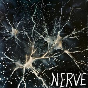 Nerve