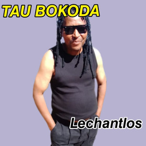 Mkotoyi