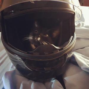 Red, white and blue. Rough cut